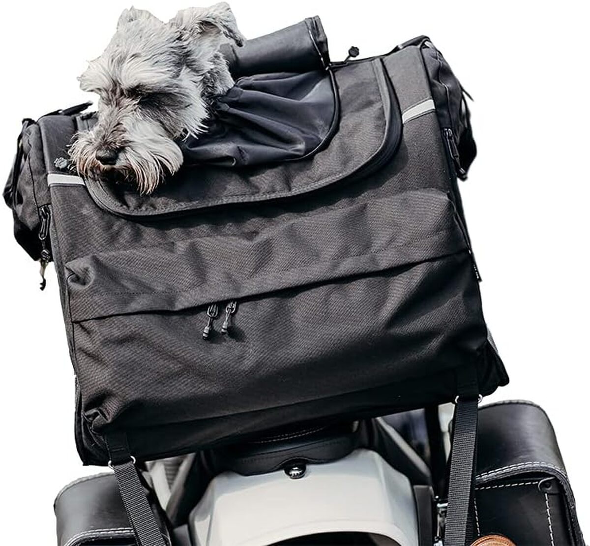 Sacoche Moto DEEMEED Discovery – 75 Litres, Cordura étanche – Avec Sangle 3 Fonctions Et Housse De Pluie